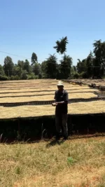 Kedovo Creme – Bild 3