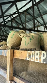 Kedovo Creme – Bild 4